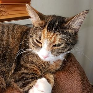 Meet your Posher, Sandra